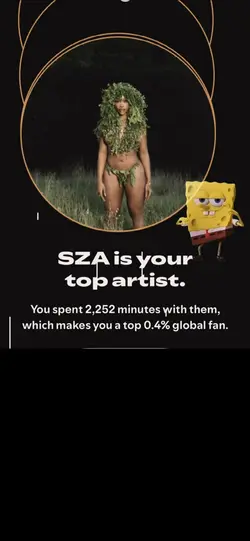 spotify wrapped 🫣 