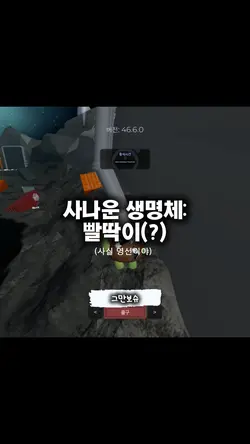 사나운 생명체