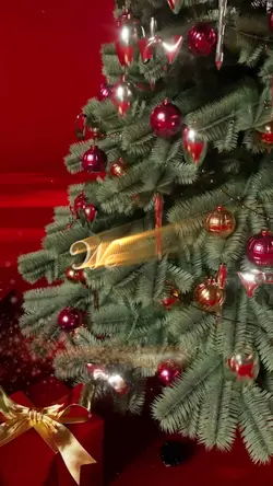 Christmas intro