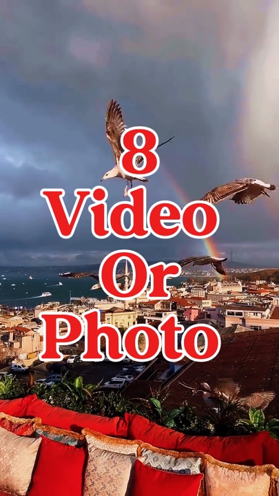 8 video veya fotoğraf 