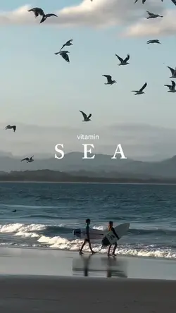 Vitamin sea