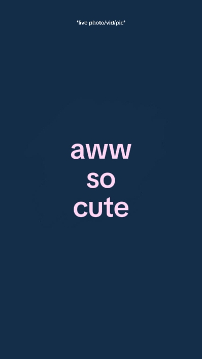 aww so cute