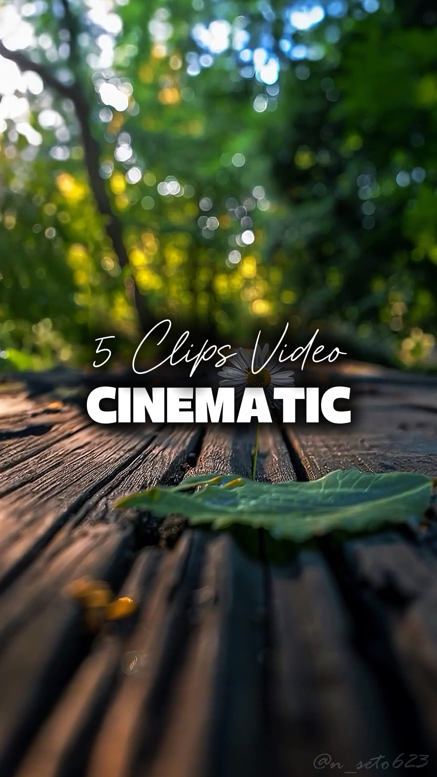 5 Videos Cinematic 