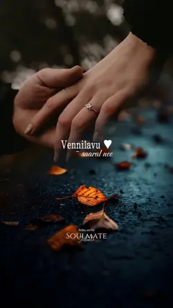 Vennilavu saaral nee