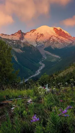 LOVE LIKE JESUS 💜