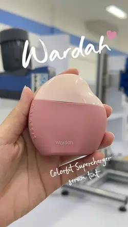wardah skintint