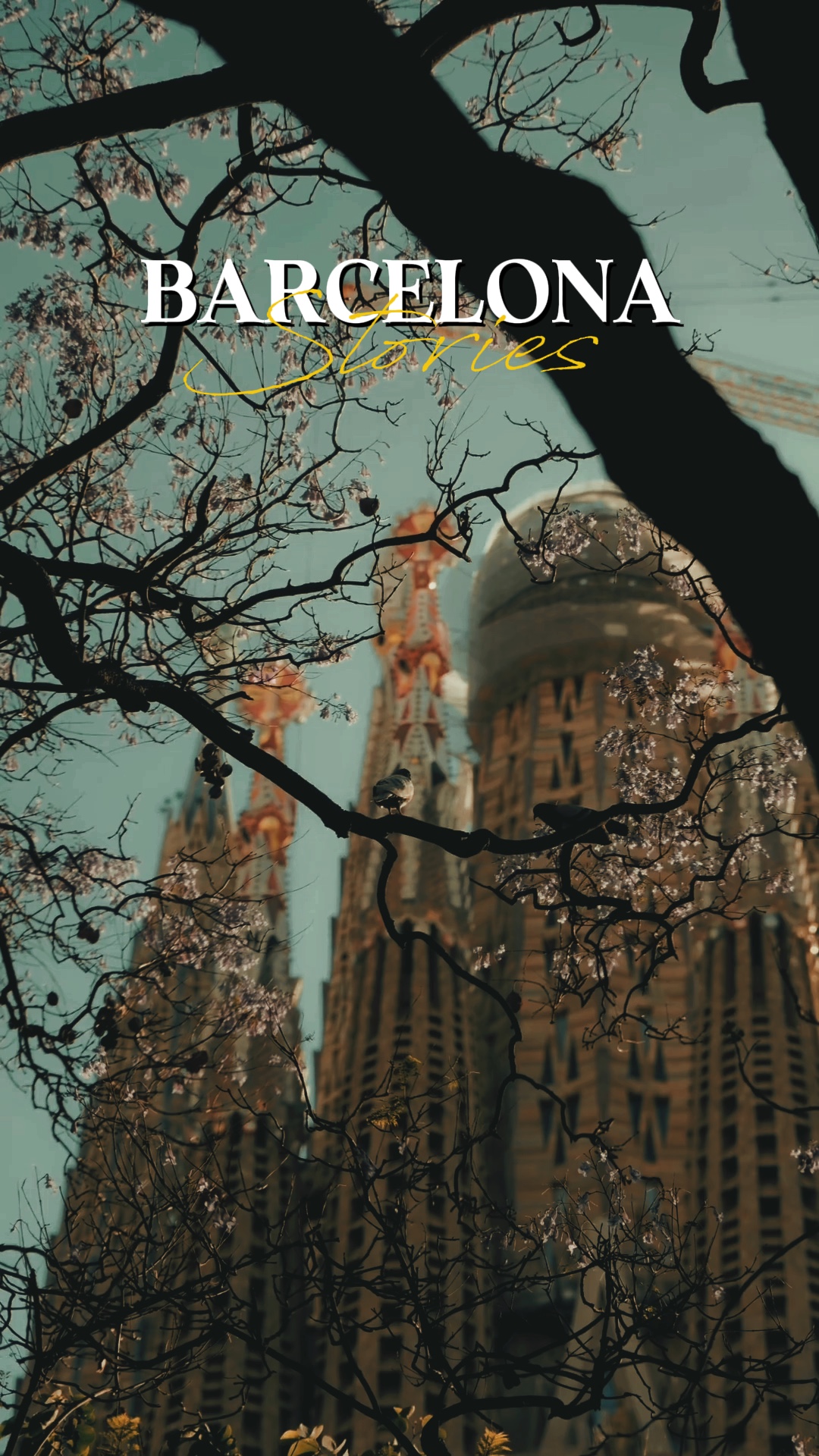 Historias de Barcelona