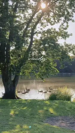 minivlog