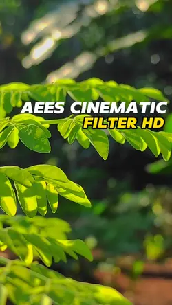 Aees Cinematic