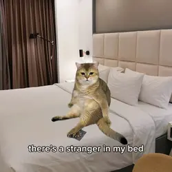 there's a stranger 