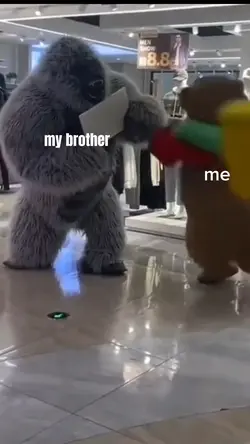 Siblings meme