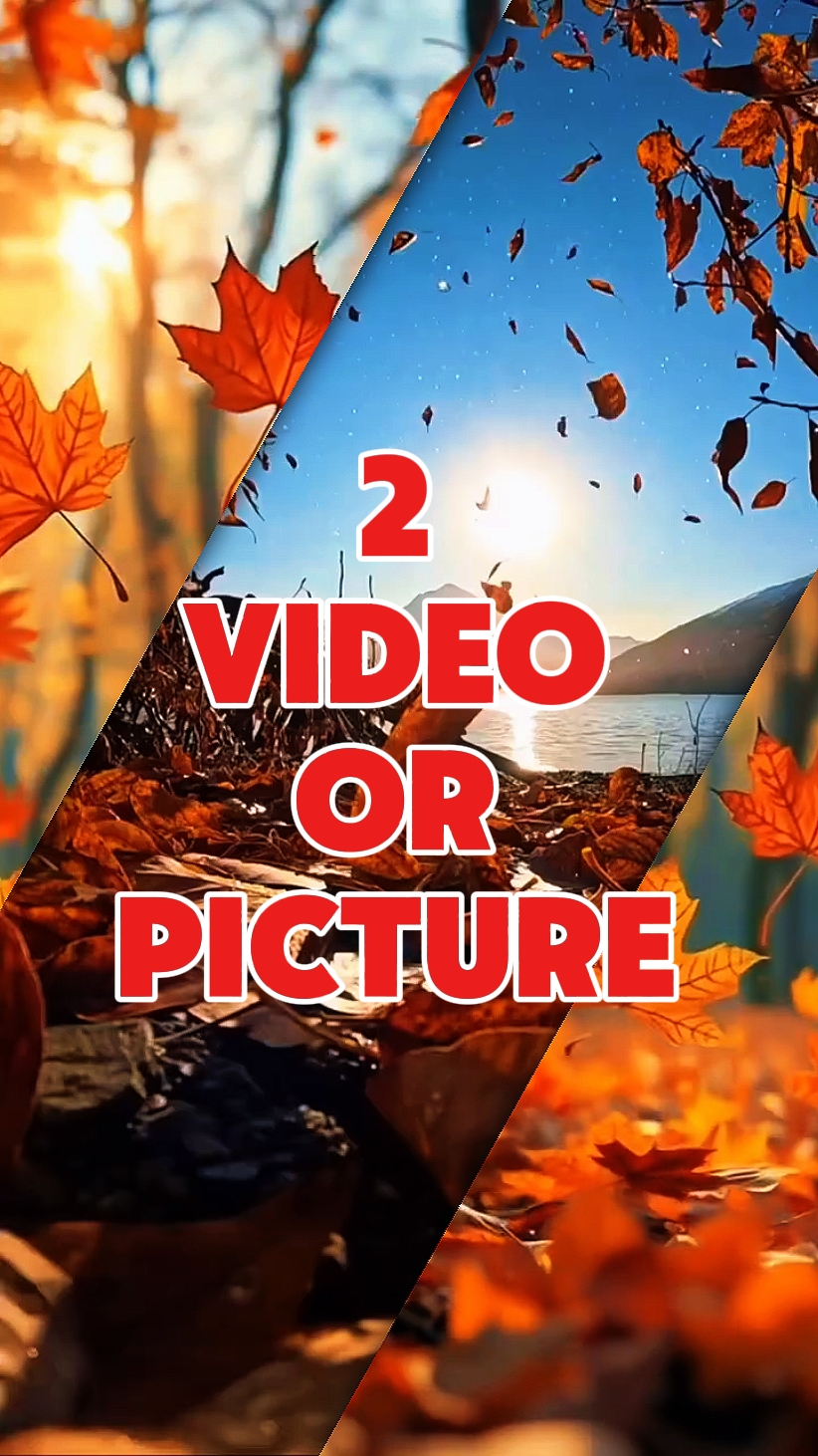 2 vidéo ou photo |