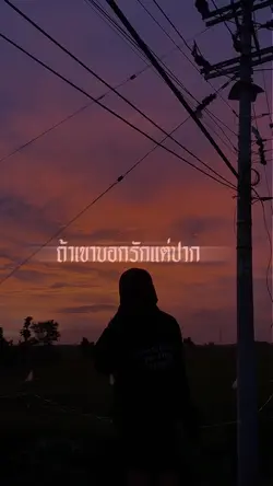 หมาเปล่า