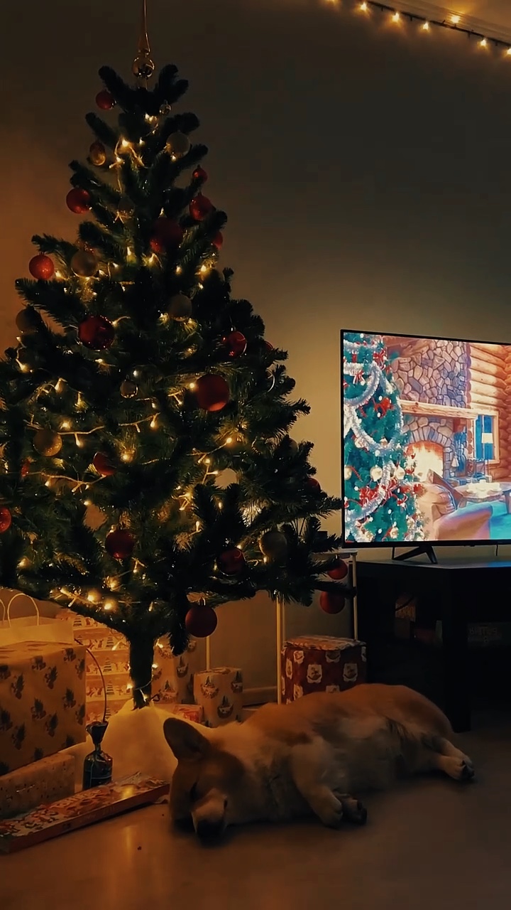 Vlog de Navidad 2025