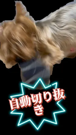 6秒以上の動画を切り抜くだけ🤗背景削除