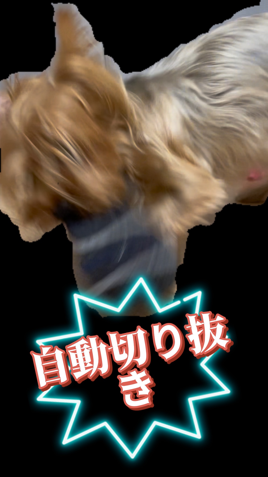 6秒以上の動画を切り抜くだけ🤗背景削除