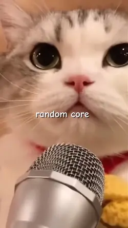 core 3 video