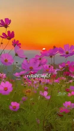 ชีวิตคู่