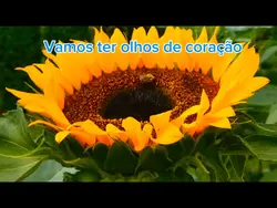 Modelo de um clipe i