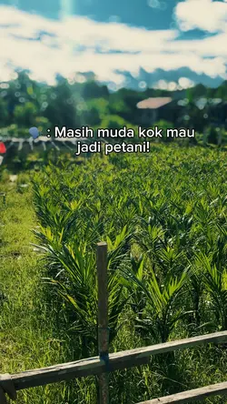 Bahan sw mu bolo