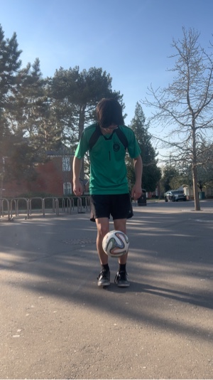 Día 162 - por favor exporte