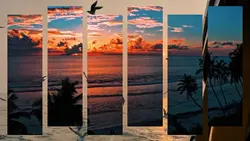 Epic Transition😍