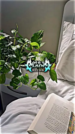 Christopher Robinson