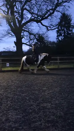 Little dressage vid