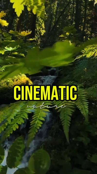 NATURALEZA CINEMÁTICA 