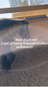 Ibf Mia 🫶🏻🥹🌎💘