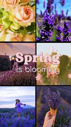 spring is blooming