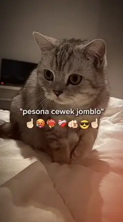 pesona cewek jomblo 
