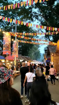 Festival Recap