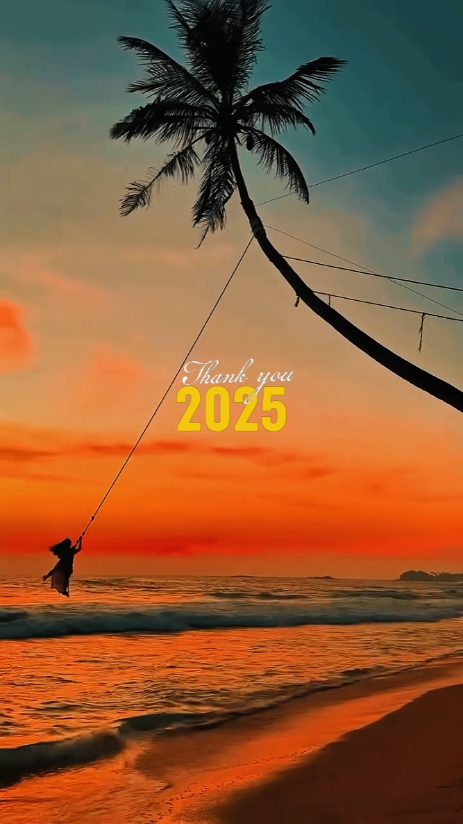 2025 Recap