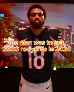 bears hamilton