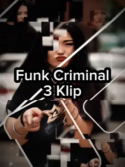 Funk Criminal