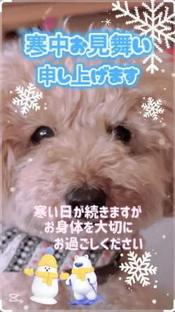 寒中お見舞い ⸜❄️⸝画像1枚 