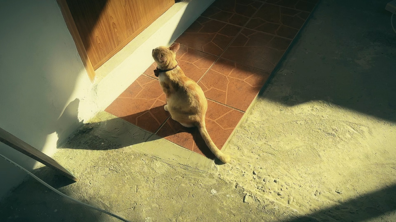 Daily life of Oyen