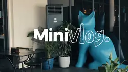 Mini vlog