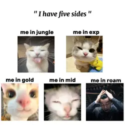 I have five sides 
