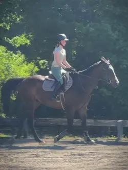 the stirrup 😔😔