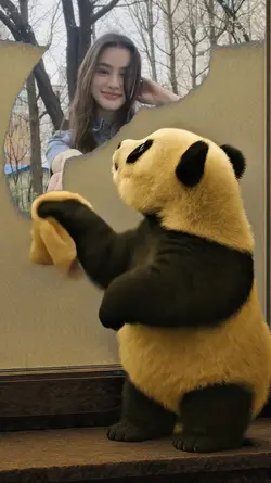 Panda Cleaning