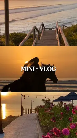 MINI VLOG 