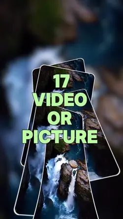17 video or picture
