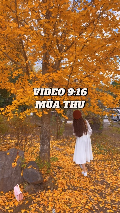 Nhiu 비디오 ma Thu