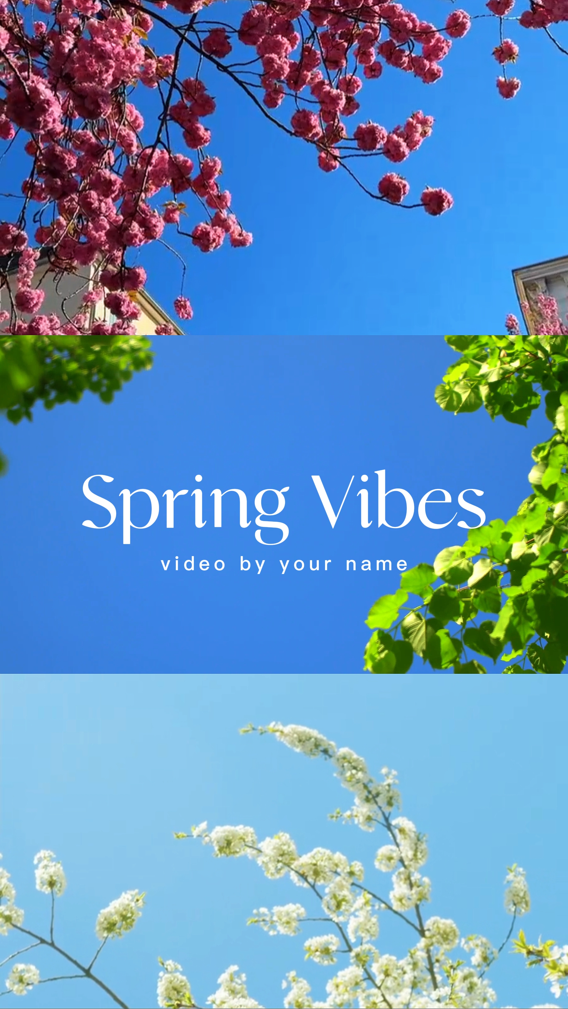 Spring Vibes 