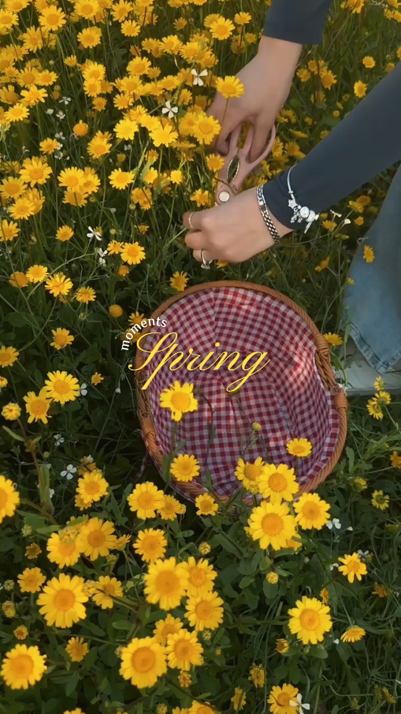 Momente Frühling 