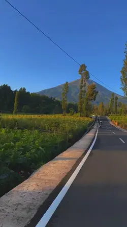 slowmotion