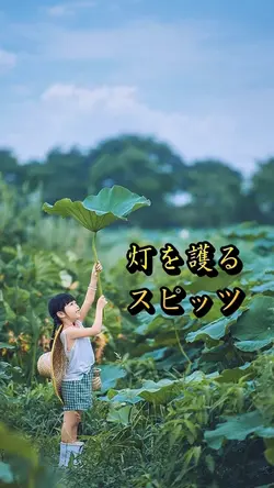 灯を護る
スピッツ