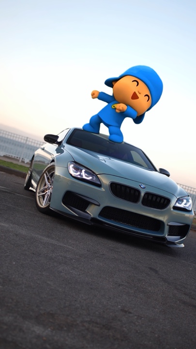 Cover Picture
